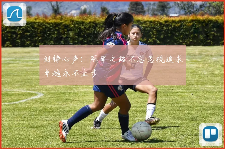刘铮心声：冠军之路不容忽视追求卓越永不止步
