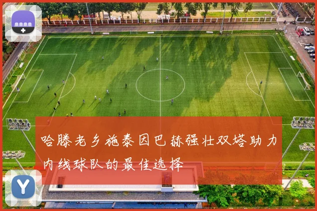 哈滕老乡施泰因巴赫强壮双塔助力内线球队的最佳选择